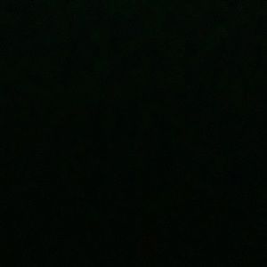 Meet your Posher, Bradley